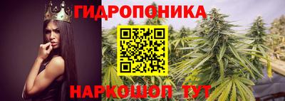 прущий лед Будённовск