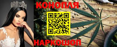 прущий лед Будённовск