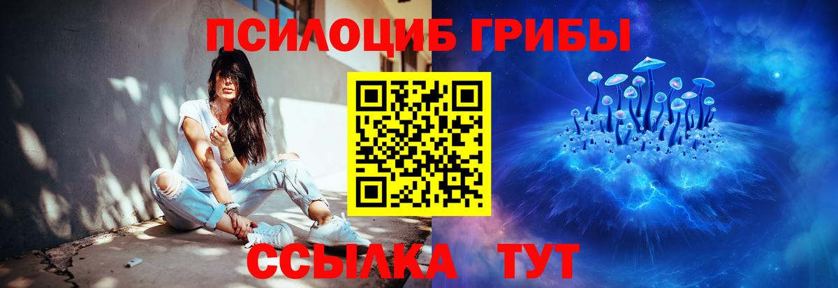 даркнет сайт  Галлюциногенные грибы Psilocybe  Вход с VPN  Стрежевой 
